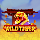 Wild Tiger