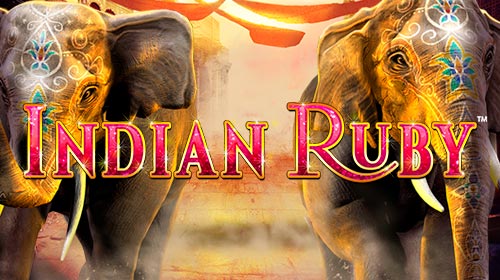 Indian Ruby