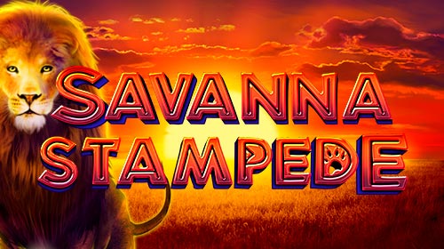 Savanna Stampede
