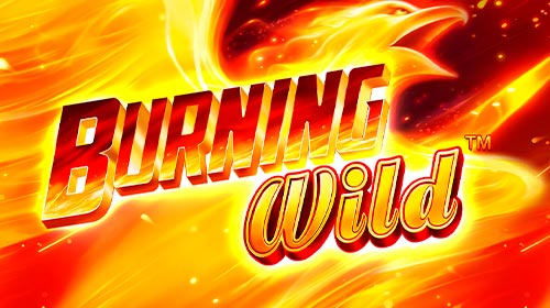 Burning Wild