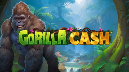 Gorilla Cash