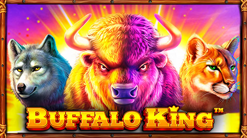Buffalo King