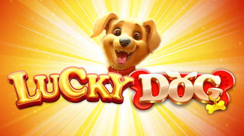 Lucky Dog