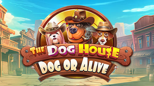 The Dog House – Dog or Alive