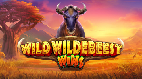Wild Wildebeest Wins