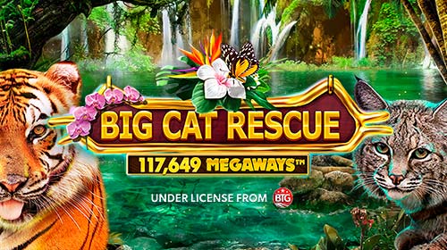 Big Cat Rescue Megaways