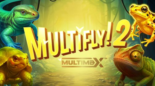 Multifly! 2 MultiMax