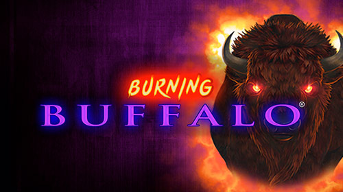 Burning Buffalo