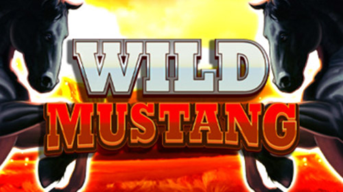 Wild Mustang