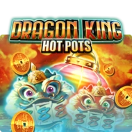 Dragon King Hot Pots